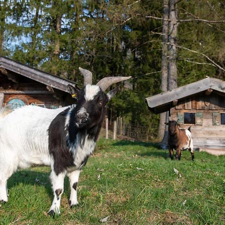 Knoglerhof Inkl. Chiemgaukarte Daire Ruhpolding Dış mekan fotoğraf
