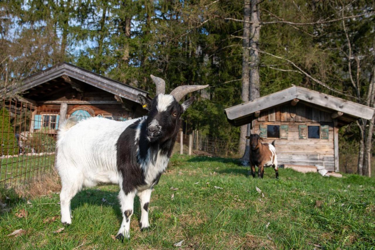 Knoglerhof Inkl. Chiemgaukarte Daire Ruhpolding Dış mekan fotoğraf