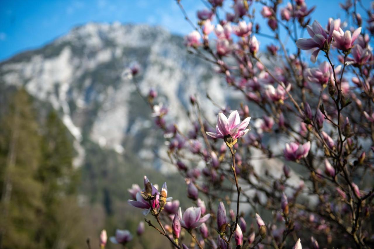 Knoglerhof Inkl. Chiemgaukarte Daire Ruhpolding Dış mekan fotoğraf